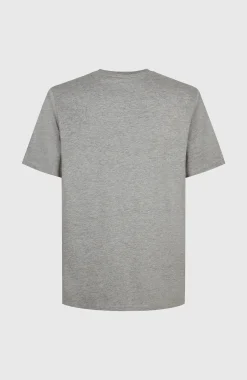 HommesT-shirt Future Surf Society| Gris