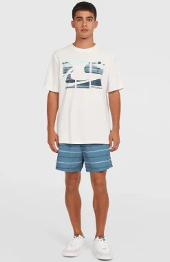 HommesT-shirt Gradient| Blanc