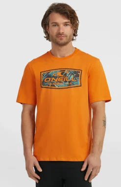 HommesT-shirt Graphic| Orange