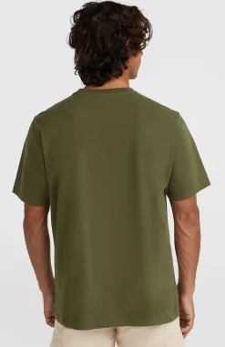 HommesT-shirt Ikat Stripe| Vert