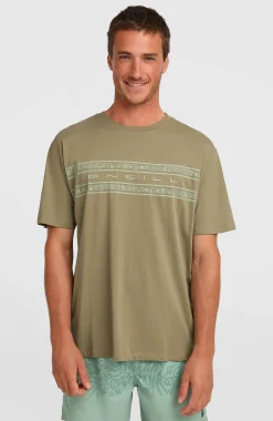 HommesT-shirt O'Neill Flower Stripe| Vert