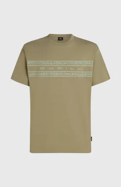 HommesT-shirt O'Neill Flower Stripe| Vert