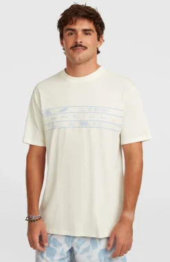 HommesT-shirt O'Neill Flower Stripe| Blanc