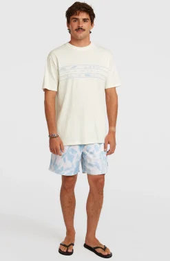 HommesT-shirt O'Neill Flower Stripe| Blanc
