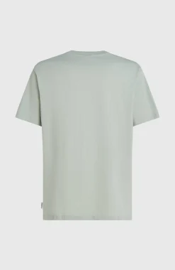 HommesT-shirt O'Neill Gradient| Vert