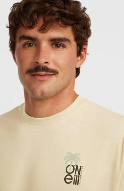 HommesT-shirt O'Neill Hybrid Polygiene Graphic| Beige