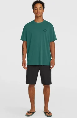 HommesT-shirt O'Neill Hybrid Polygiene Back-Print| Vert