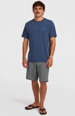 HommesT-shirt O'Neill Hybrid Polygiene Back-Print| Bleu