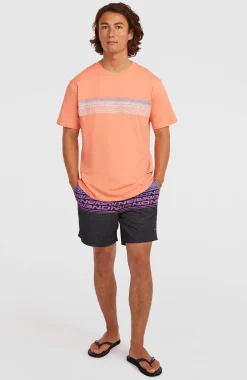 HommesT-shirt O'Neill Logo Stripe| Orange