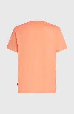 HommesT-shirt O'Neill Logo Stripe| Orange