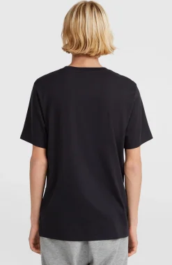 HommesT-shirt O'Neill Logo| Noire