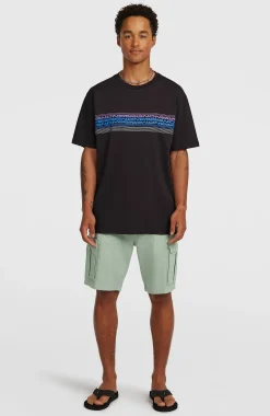 HommesT-shirt O'Neill Logo Stripe| Noire