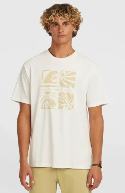 HommesT-shirt O'Neill Melange Front-Print| Blanc