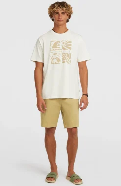 HommesT-shirt O'Neill Melange Front-Print| Blanc