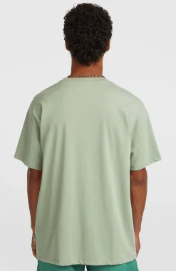 HommesT-shirt O'Neill Melange Front-Print| Vert
