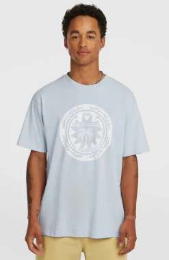 HommesT-shirt O'Neill Must-Have Graphic| Bleu