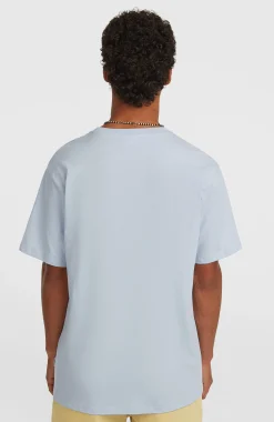 HommesT-shirt O'Neill Must-Have Graphic| Bleu