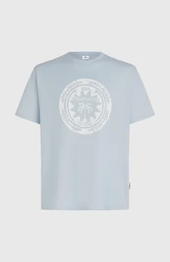 HommesT-shirt O'Neill Must-Have Graphic| Bleu