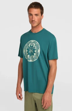 HommesT-shirt O'Neill Must-Have Graphic| Vert