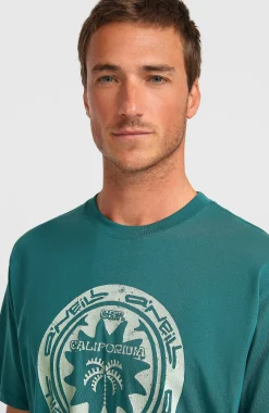 HommesT-shirt O'Neill Must-Have Graphic| Vert
