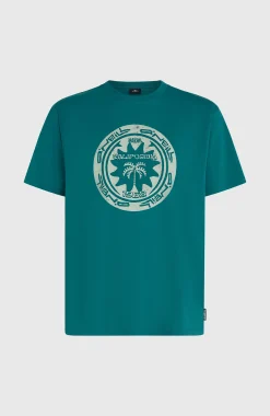 HommesT-shirt O'Neill Must-Have Graphic| Vert