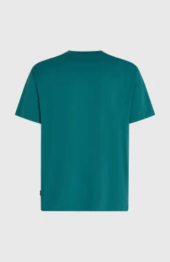 HommesT-shirt O'Neill Must-Have Graphic| Vert
