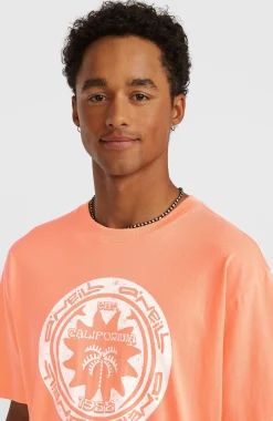 HommesT-shirt O'Neill Must-Have Graphic| Orange