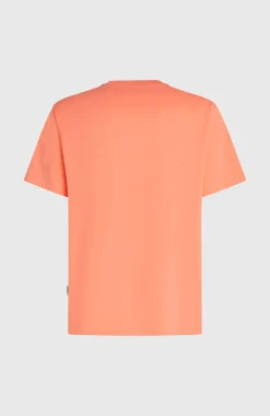 HommesT-shirt O'Neill Must-Have Graphic| Orange