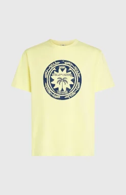 HommesT-shirt O'Neill Must-Have Graphic| Jaune
