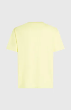 HommesT-shirt O'Neill Must-Have Graphic| Jaune