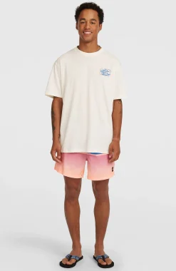 HommesT-shirt O'Neill Photo Back Print| Blanc