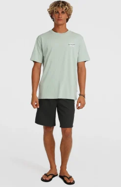 HommesT-shirt O'Neill Retro Back-Print| Vert