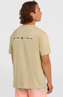 HommesT-shirt O'Neill Retro Back-Print| Beige