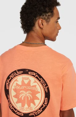 HommesT-shirt O'Neill Slub Back-Print| Orange