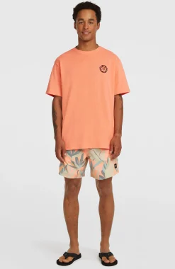 HommesT-shirt O'Neill Slub Back-Print| Orange