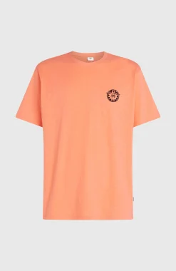 HommesT-shirt O'Neill Slub Back-Print| Orange