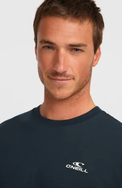 HommesT-shirt O'Neill Small Logo| Bleu