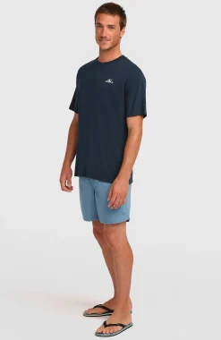 HommesT-shirt O'Neill Small Logo| Bleu