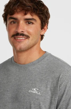 HommesT-shirt O'Neill Small Logo| Gris