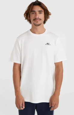 HommesT-shirt O'Neill Small Logo| Blanc