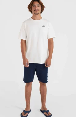 HommesT-shirt O'Neill Small Logo| Blanc