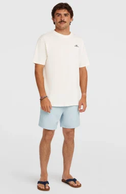 HommesT-shirt O'Neill Small Logo| Blanc