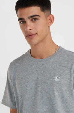 HommesT-shirt O'Neill Small Logo| Gris