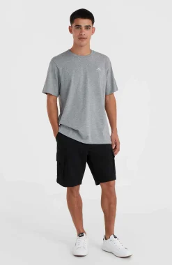 HommesT-shirt O'Neill Small Logo| Gris