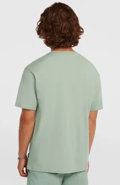HommesT-shirt O'Neill Small Logo| Vert