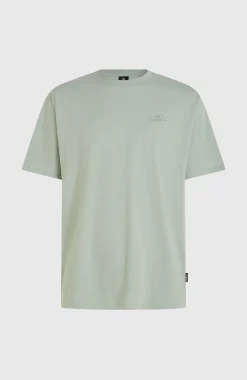 HommesT-shirt O'Neill Small Logo| Vert
