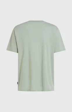 HommesT-shirt O'Neill Small Logo| Vert