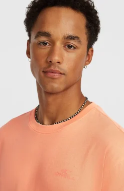 HommesT-shirt O'Neill Small Logo| Orange