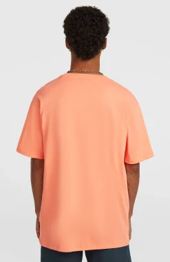 HommesT-shirt O'Neill Small Logo| Orange