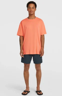 HommesT-shirt O'Neill Small Logo| Orange